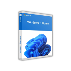 Windows 11 Home - License