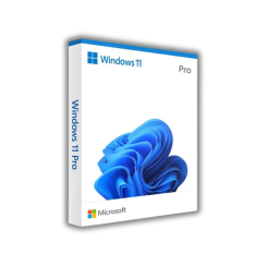 win 11 pro