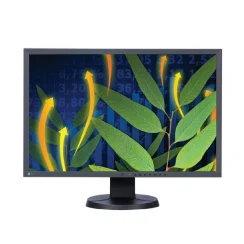 MONITOR EIZO EV2436W